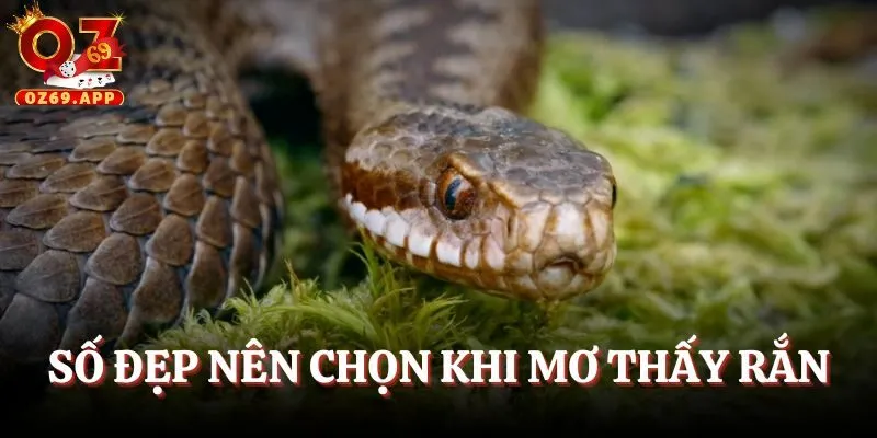 Số đẹp nên đánh trong ngày mai